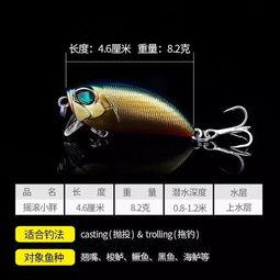 假饵钓鱼视频,跟随假饵钓鱼视频学技巧