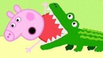 猪甩蛋视频,趣味横生的动物搞笑瞬间