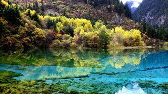 九寨沟朗读视频,如梦如幻的自然画卷