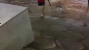 解剖女尸视频全过程,人体奥秘与医学探索之旅