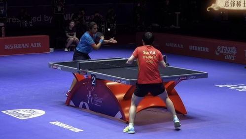 国际乒乓视频