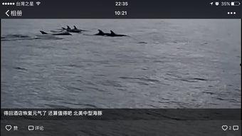 东台湾视频,探寻宝岛东部秘境之美