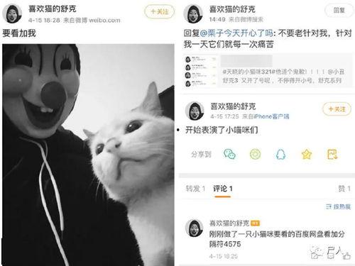 吾嘤定制视频,打造专属你的视觉盛宴